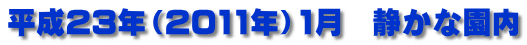 平成23年（2011年）1月　静かな園内